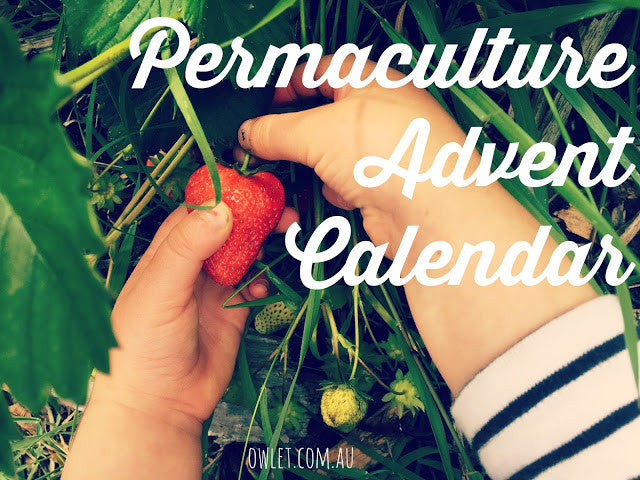 Our Permaculture Advent Calendar