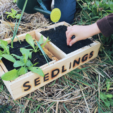 Seedlings Permaculture for Families E-course