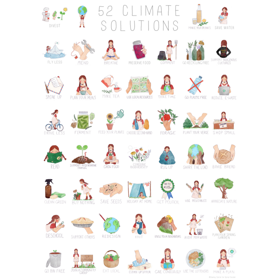52 Climate Solutions Art Print
