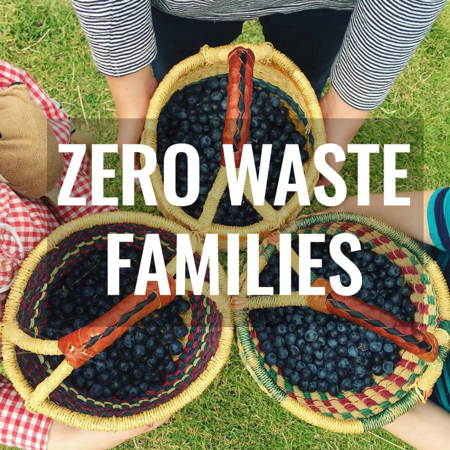 Zero Waste Families E-course